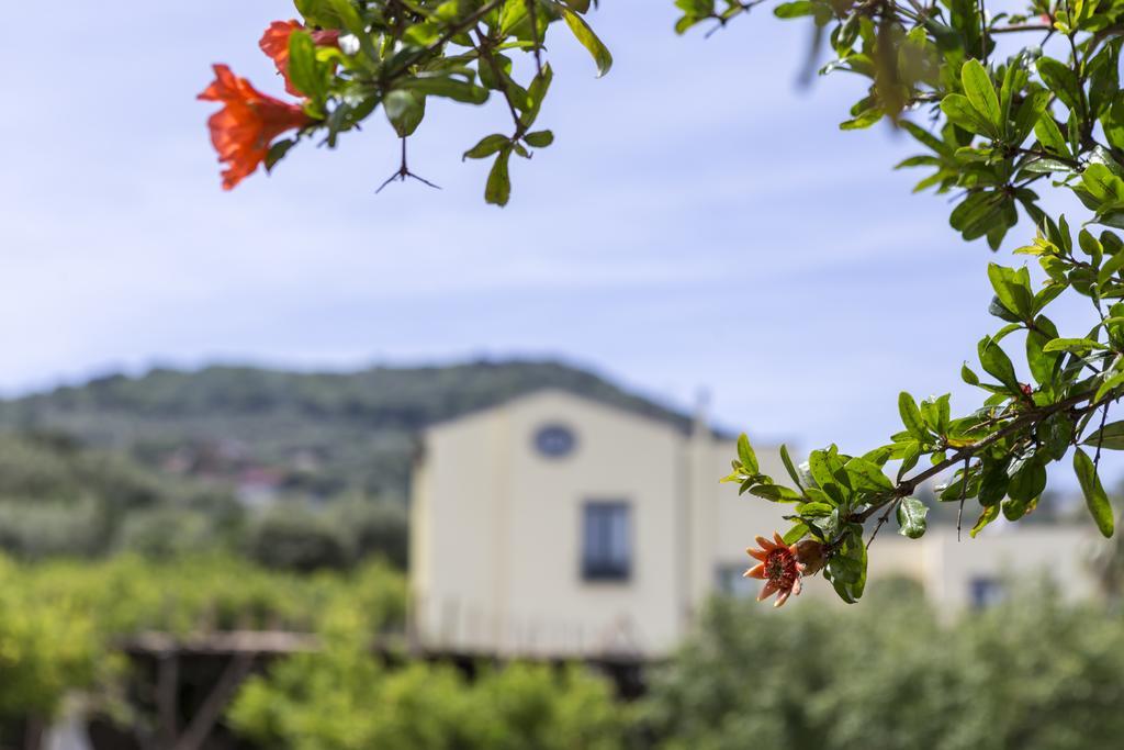 Relais Regina Giovanna Sorrento Exterior foto