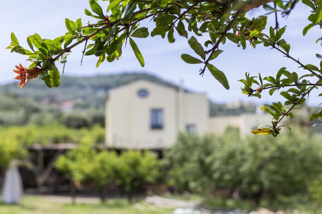 Relais Regina Giovanna Sorrento Exterior foto